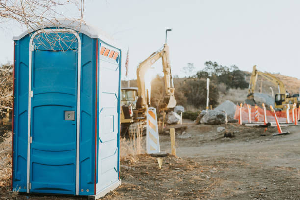 Best Affordable portable toilet rental  in Herscher, IL